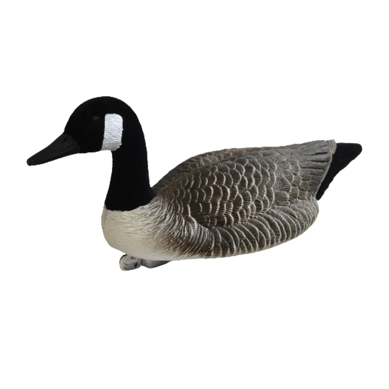 goose1-3.jpg